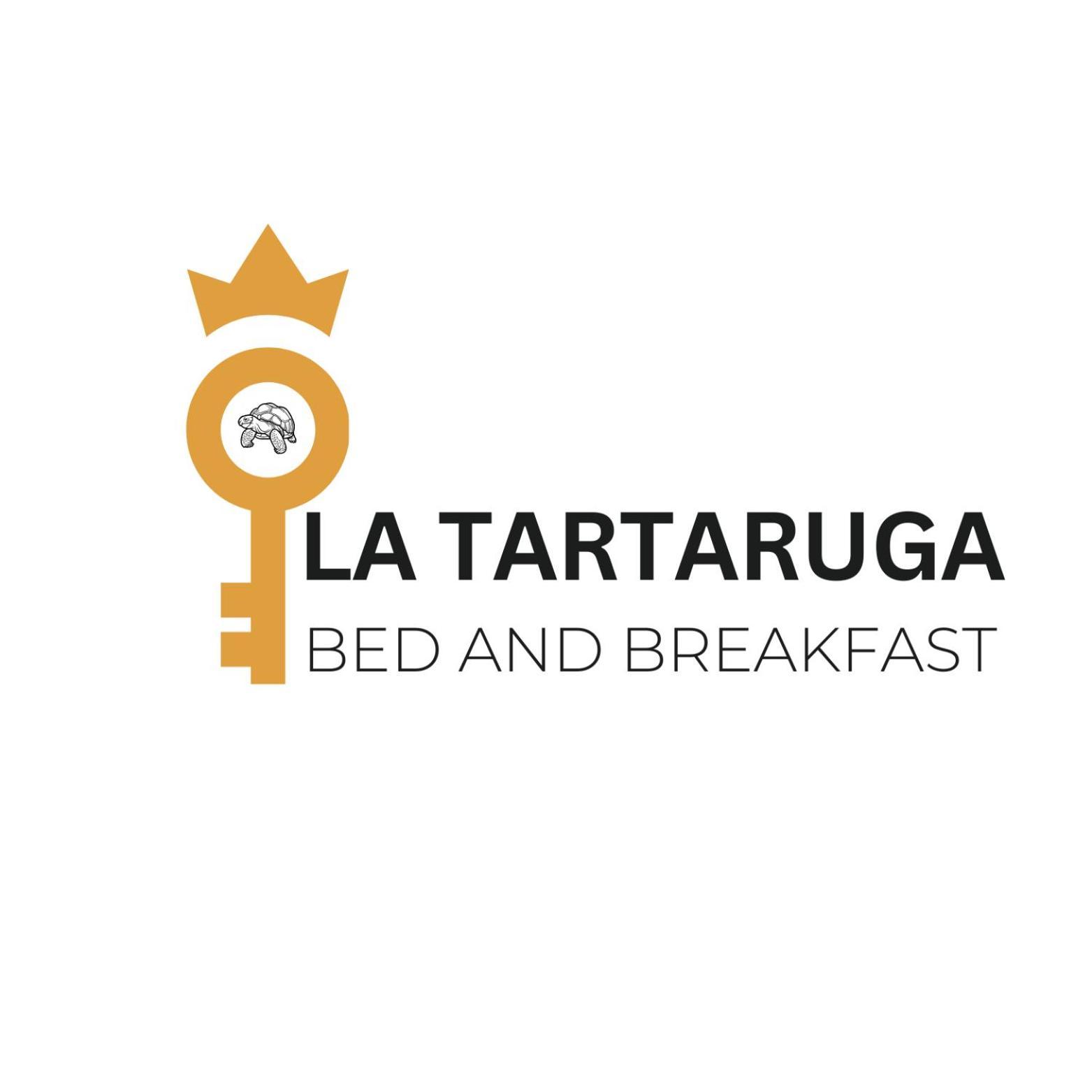 Appartement La Tartaruga à Sienne Extérieur photo